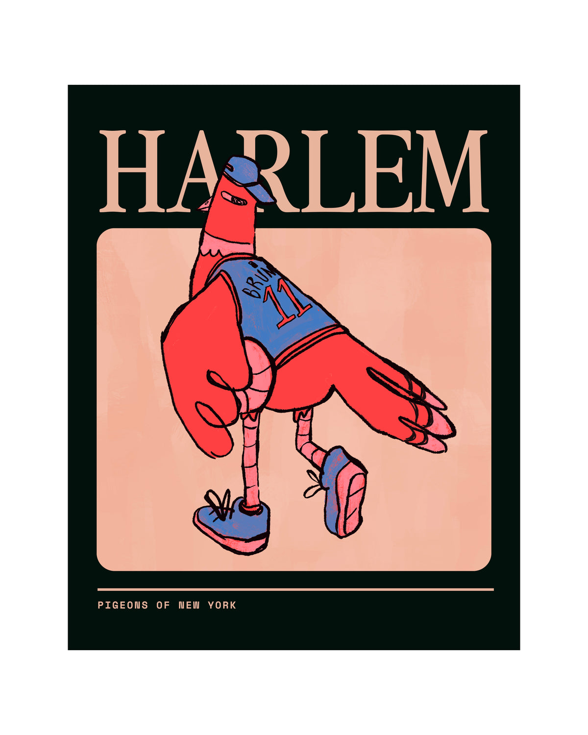 Harlem Pigeon Poster