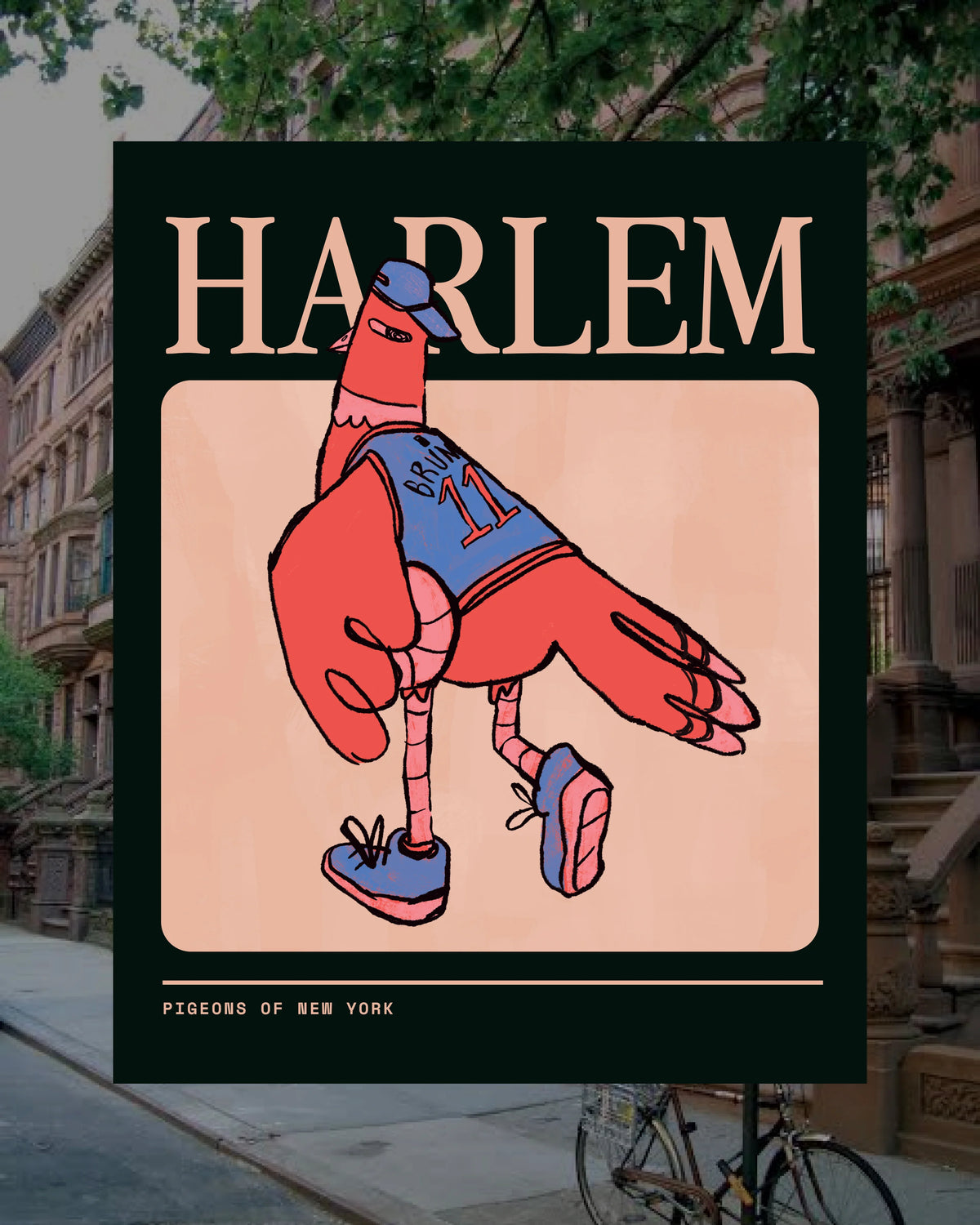 Harlem Pigeon Poster