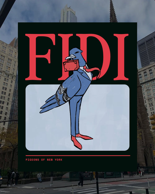 FiDi Pigeon Poster